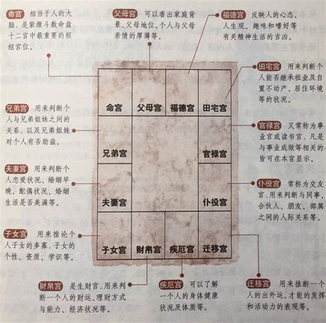 天魁意思|解读紫微斗数：天魁旺在命宫的意义和影响